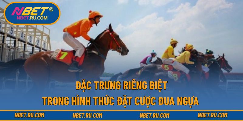 Đặc trưng riêng biệt trong hình thức đặt cược đua ngựa 