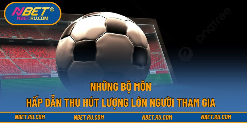 Những bộ môn hấp dẫn thu hút lượng lớn người tham gia