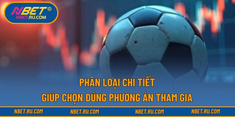 Phân loại chi tiết giúp chọn đúng phương án tham gia