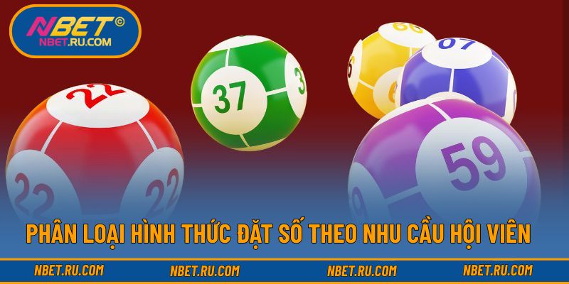 Phân loại hình thức đặt số theo nhu cầu hội viên