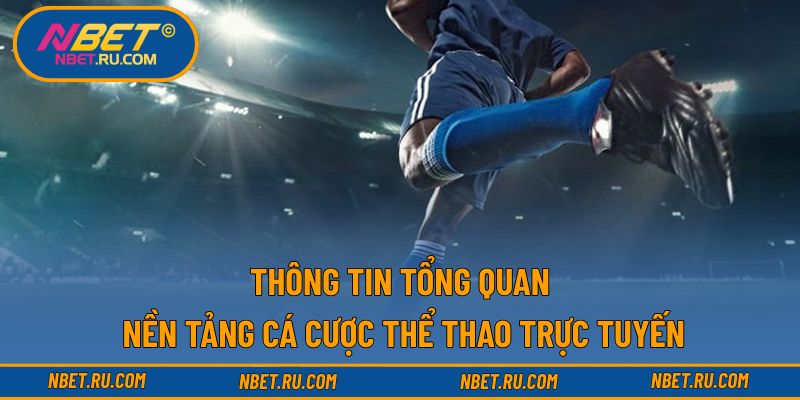 Thông tin tổng quan về nền tảng cá cược thể thao trực tuyến