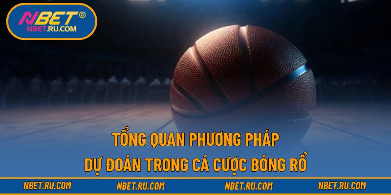 Tổng quan phương pháp dự đoán trong cá cược bóng rổ